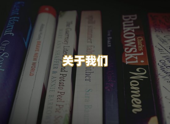 关于我们