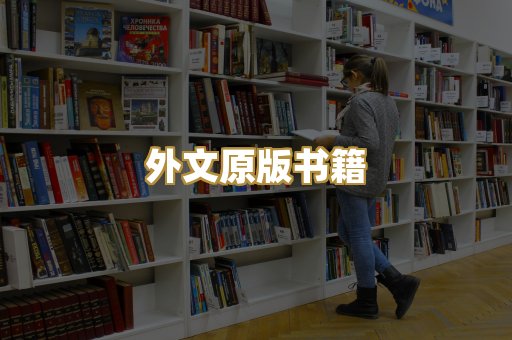 TXT文本书库