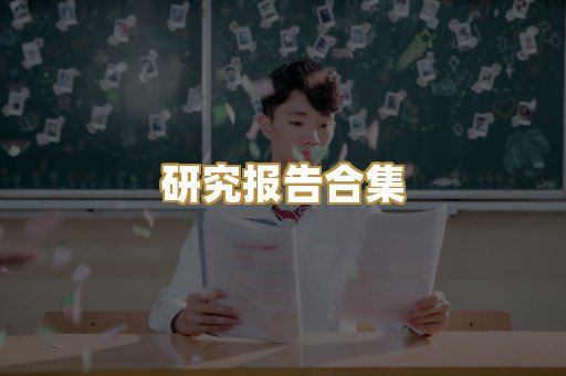 研究报告合集